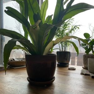 Meet your Posher, Lena